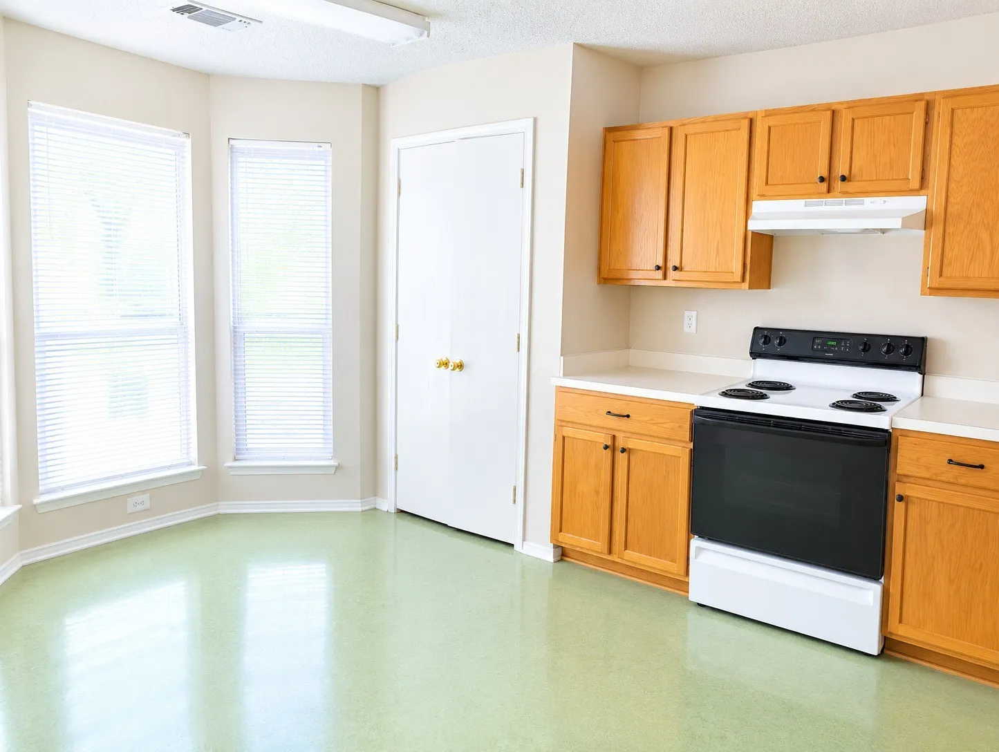 Single Family Residence For Sale in Johnson County , 1007 Miles Avenue, Burleson, Texas 76028, 3 Bedroom, 2 Bathroom, 2 Garage spaces, 1,486 Sqft, built in 1998, mls#21401015, Real Estate Agent in Burleson, Homes For Sale in Johnson county, Homes For Sale in Burleson, Realtor in Burleson Texas, Real Estate Brokerage Independent Realty Texas, Luminita Cordes Realtor