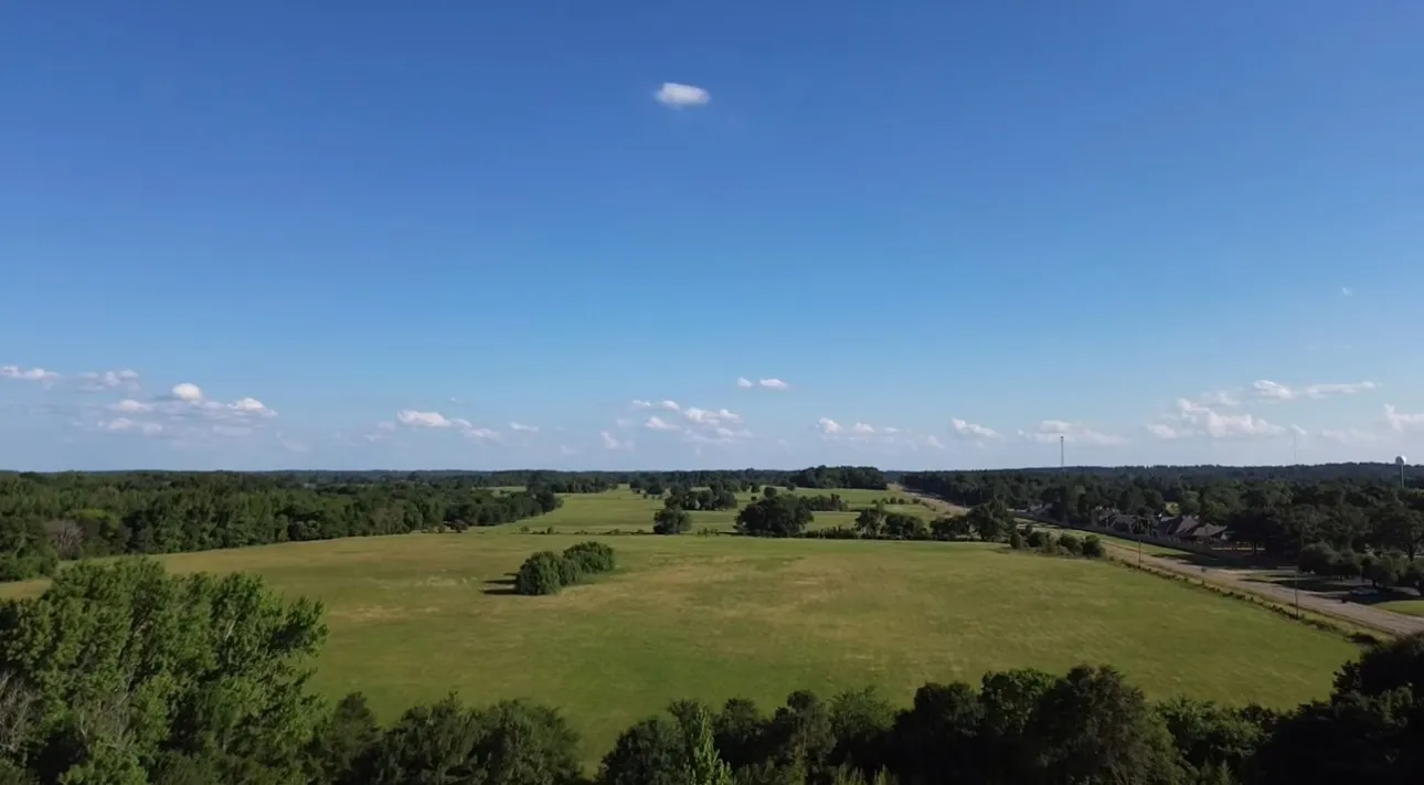 Unimproved Land For Sale in Smith County , 15223 CR 188, Bullard, Texas 75757, 0, 0, Garage spaces, 0 Sqft, built in 0, mls#21400913, Real Estate Agent in Bullard, Homes For Sale in Smith county, Homes For Sale in Bullard, Realtor in Bullard Texas, Real Estate Brokerage Independent Realty Texas, Luminita Cordes Realtor