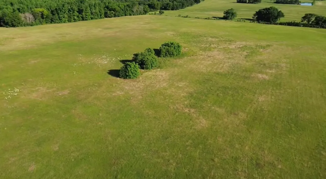 Unimproved Land For Sale in Smith County , 15223 CR 188, Bullard, Texas 75757, 0, 0, Garage spaces, 0 Sqft, built in 0, mls#21400913, Real Estate Agent in Bullard, Homes For Sale in Smith county, Homes For Sale in Bullard, Realtor in Bullard Texas, Real Estate Brokerage Independent Realty Texas, Luminita Cordes Realtor