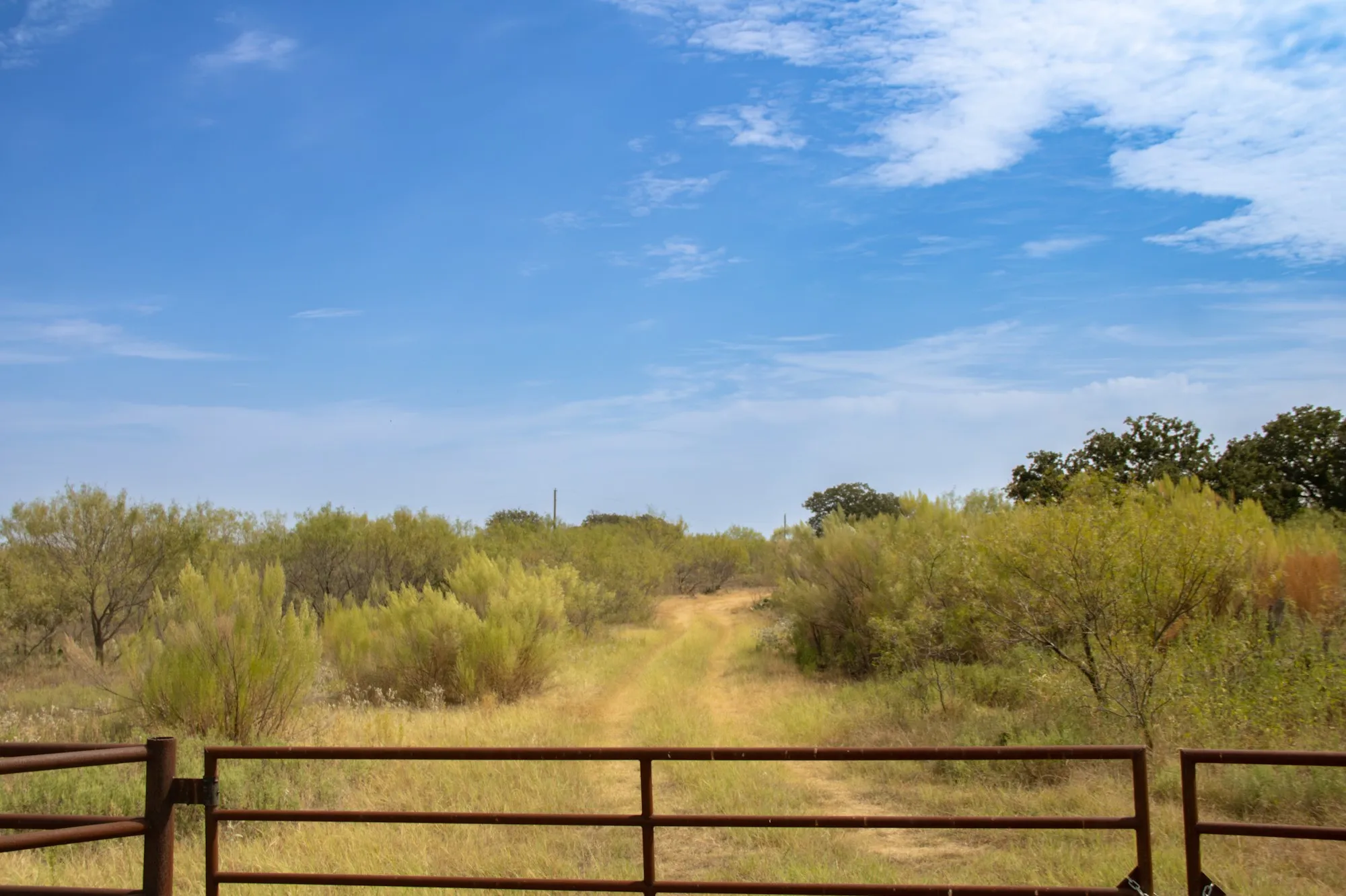 Unimproved Land For Sale in Comanche County , TBD Tract 4 County Road 166, Gorman, Texas 76454, 0, 0, Garage spaces, 0 Sqft, built in 0, mls#21398759, Real Estate Agent in Gorman, Homes For Sale in Comanche county, Homes For Sale in Gorman, Realtor in Gorman Texas, Real Estate Brokerage Independent Realty Texas, Luminita Cordes Realtor