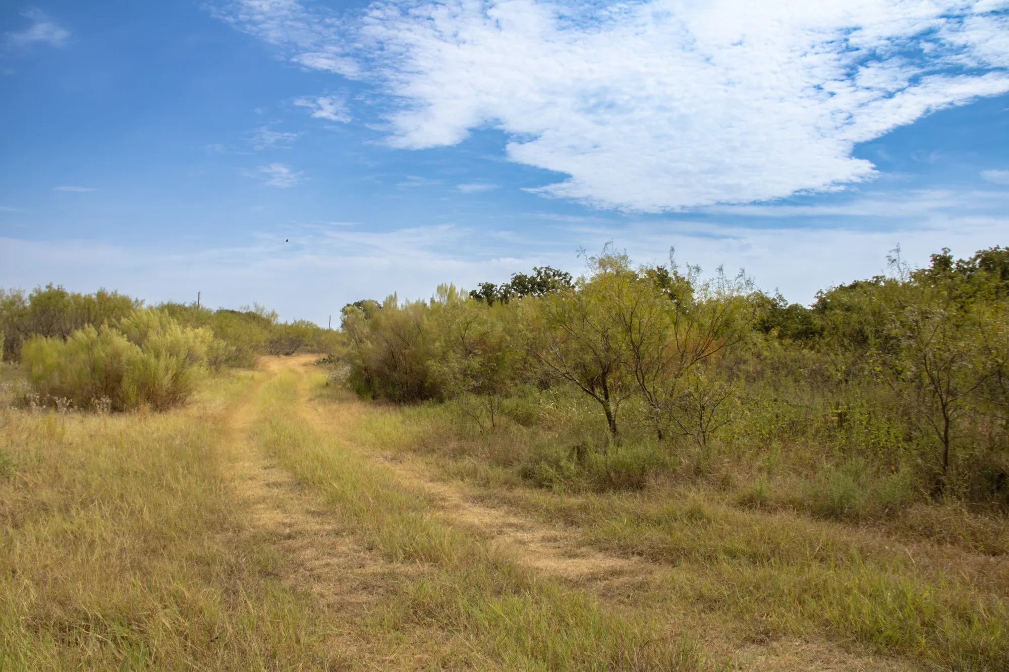 Unimproved Land For Sale in Comanche County , TBD Tract 4 County Road 166, Gorman, Texas 76454, 0, 0, Garage spaces, 0 Sqft, built in 0, mls#21398759, Real Estate Agent in Gorman, Homes For Sale in Comanche county, Homes For Sale in Gorman, Realtor in Gorman Texas, Real Estate Brokerage Independent Realty Texas, Luminita Cordes Realtor