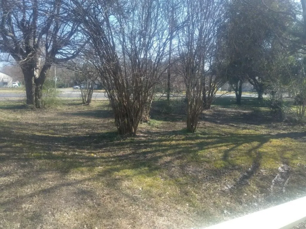 Single Family Residence For Rent in Hunt County , 1211 Wolfe City Drive, Greenville, Texas 75401, 3 Bedroom, 2 Bathroom, 1 Garage spaces, 1,308 Sqft, built in 1975, mls#21401136, Real Estate Agent in Greenville, Homes For Rent in Hunt county, Homes For Rent in Greenville, Realtor in Greenville Texas, Real Estate Brokerage Independent Realty Texas, Luminita Cordes Realtor