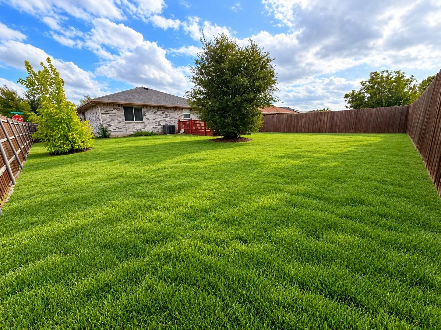 Backyard