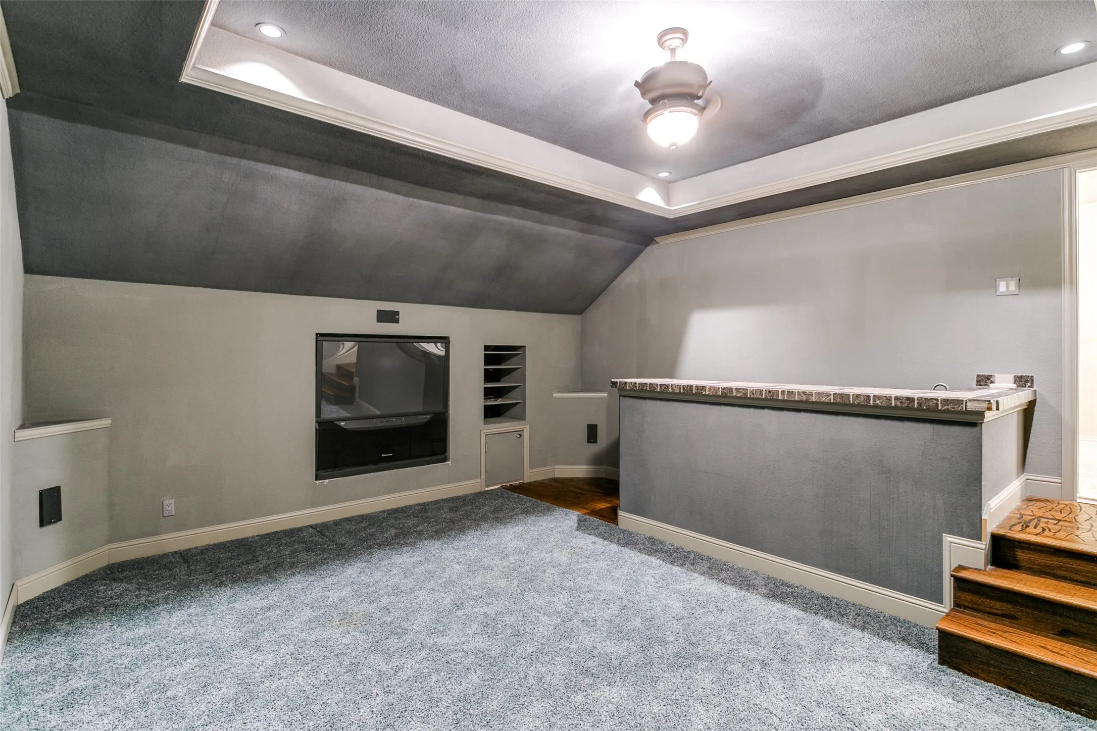Media room with wet bar