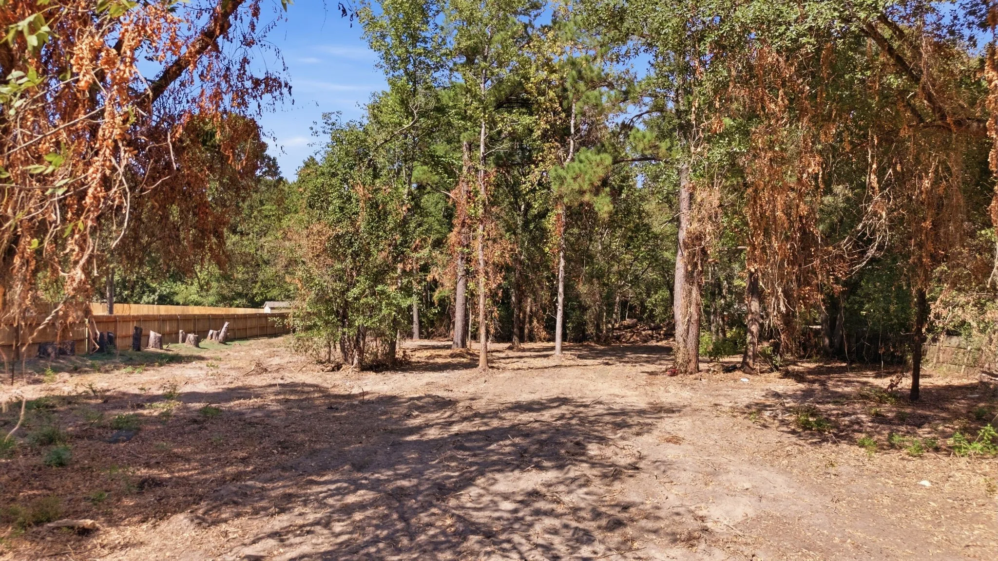 Unimproved Land For Sale in Smith County , TBD CR 474, Lindale, Texas 75771, 0, 0, Garage spaces, 0 Sqft, built in 0, mls#21396597, Real Estate Agent in Lindale, Homes For Sale in Smith county, Homes For Sale in Lindale, Realtor in Lindale Texas, Real Estate Brokerage Independent Realty Texas, Luminita Cordes Realtor