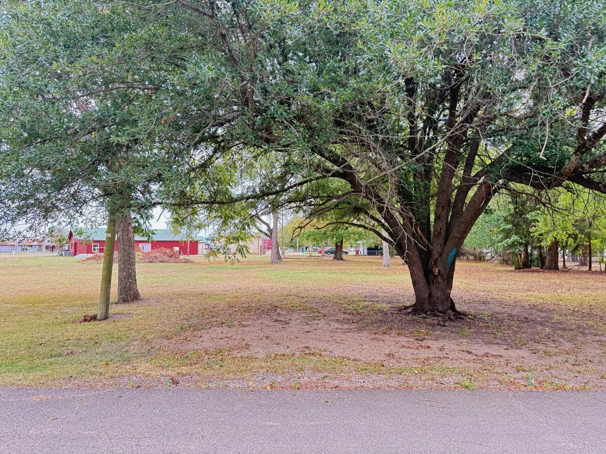 Unimproved Land For Sale in Delta County , 202 Paris Street, Pecan Gap, Texas 75469, 0, 0, Garage spaces, 0 Sqft, built in 0, mls#21399996, Real Estate Agent in Pecan Gap, Homes For Sale in Delta county, Homes For Sale in Pecan Gap, Realtor in Pecan Gap Texas, Real Estate Brokerage Independent Realty Texas, Luminita Cordes Realtor