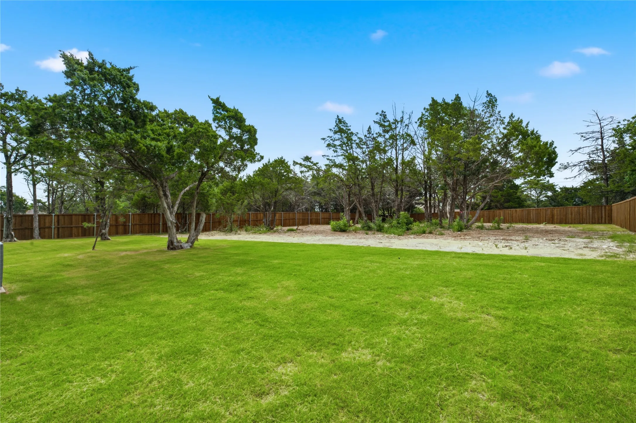 Massive backyard
