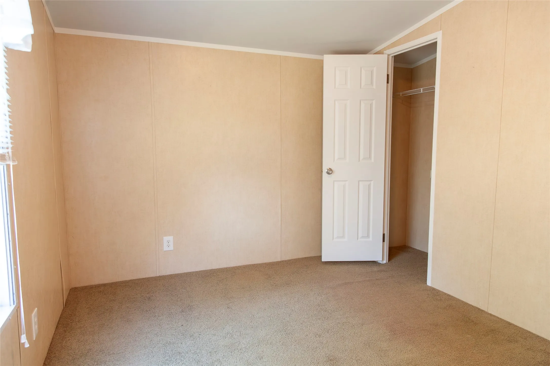 Neutral-toned wall paneling and plush carpet flooring