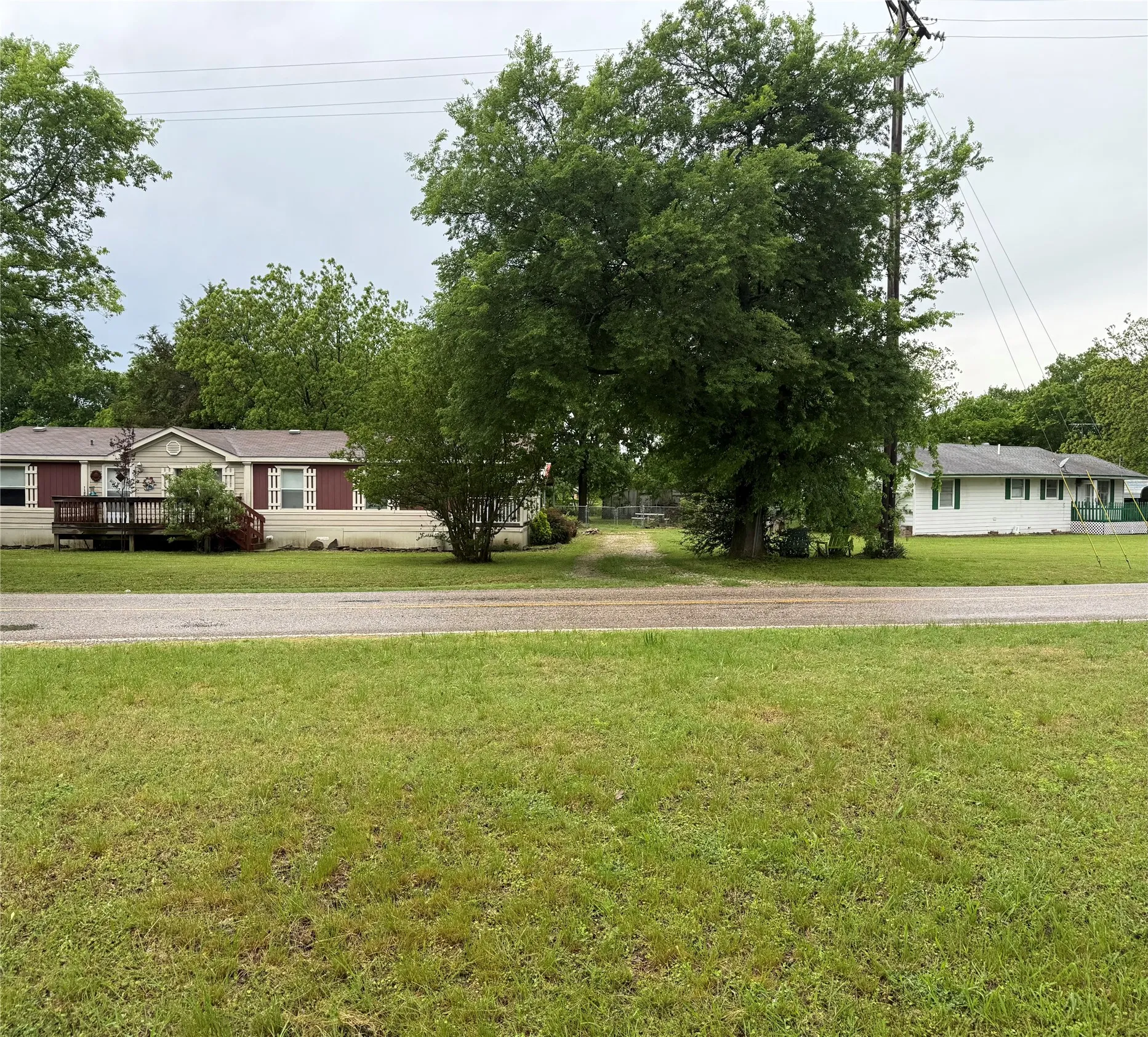 Manicured lawn with mature trees and paved road frontage