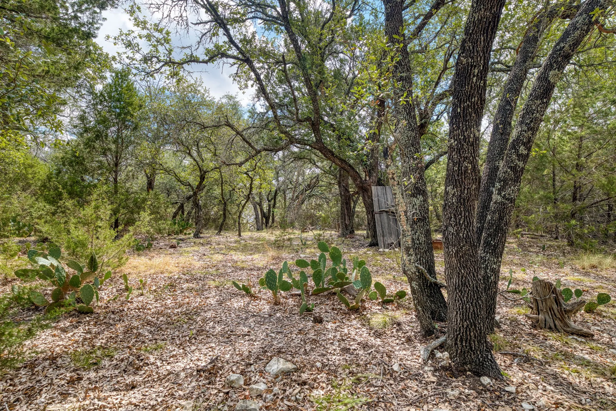 Single Family Residence For Sale in Mc Lennan County , 400 Hali Brooke Drive, China Spring, Texas 76633, 1 Bedroom, 1 Bathroom, Garage spaces, 640 Sqft, built in 2019, mls#21400541, Real Estate Agent in China Spring, Homes For Sale in Mc Lennan county, Homes For Sale in China Spring, Realtor in China Spring Texas, Real Estate Brokerage Independent Realty Texas, Luminita Cordes Realtor