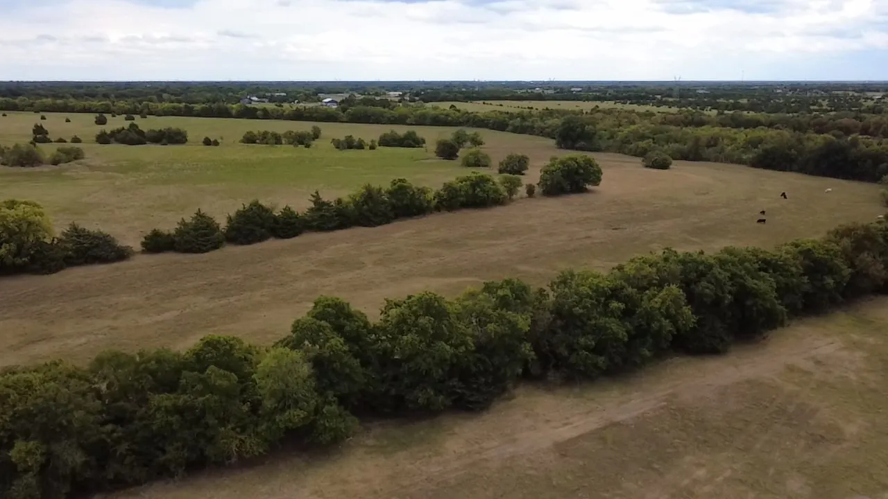 Farm For Sale in Collin County , 18830 Johnson Lane, Farmersville, Texas 75442, 3 Bedroom, 2 Bathroom, 2 Garage spaces, 1,780 Sqft, built in 1986, mls#21399293, Real Estate Agent in Farmersville, Homes For Sale in Collin county, Homes For Sale in Farmersville, Realtor in Farmersville Texas, Real Estate Brokerage Independent Realty Texas, Luminita Cordes Realtor