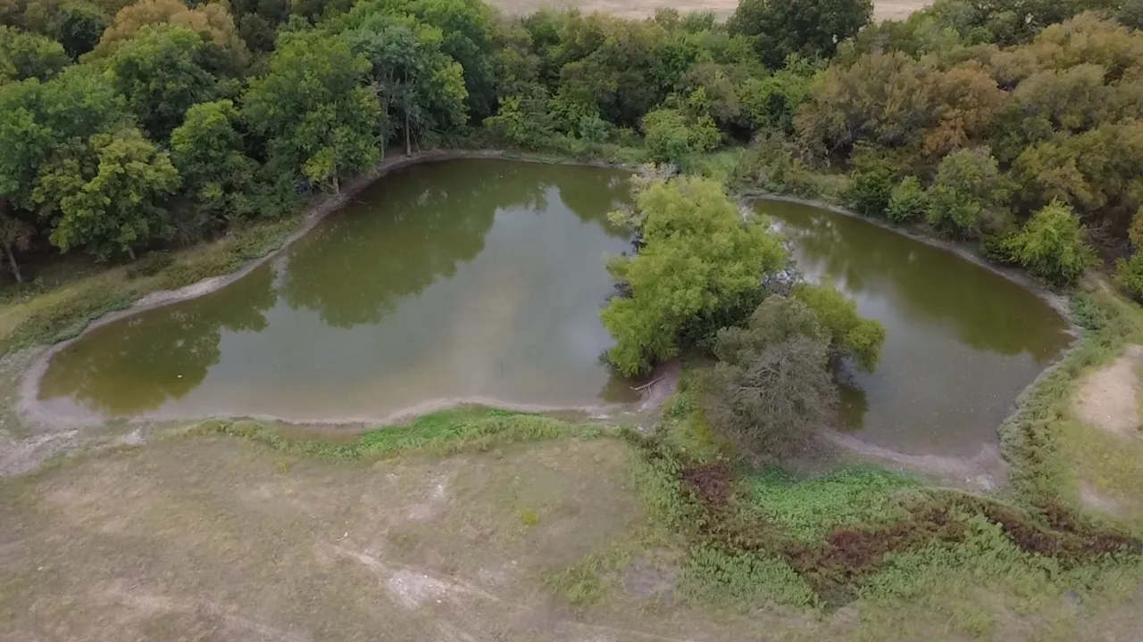 Farm For Sale in Collin County , 18830 Johnson Lane, Farmersville, Texas 75442, 3 Bedroom, 2 Bathroom, 2 Garage spaces, 1,780 Sqft, built in 1986, mls#21399293, Real Estate Agent in Farmersville, Homes For Sale in Collin county, Homes For Sale in Farmersville, Realtor in Farmersville Texas, Real Estate Brokerage Independent Realty Texas, Luminita Cordes Realtor