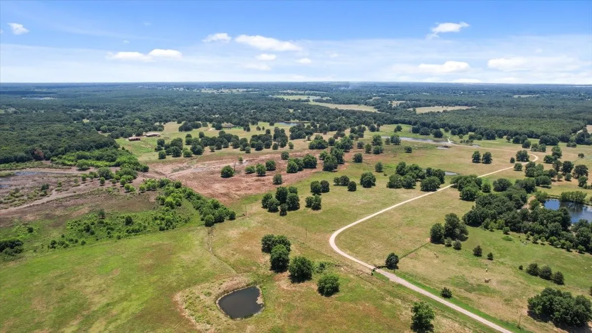 Farm For Sale in Lamar County , 502 County Road 42520, Paris, Texas 75462, 5 Bedroom, 4 Bathroom, 2 Garage spaces, 4,834 Sqft, built in 1988, mls#21400949, Real Estate Agent in Paris, Homes For Sale in Lamar county, Homes For Sale in Paris, Realtor in Paris Texas, Real Estate Brokerage Independent Realty Texas, Luminita Cordes Realtor