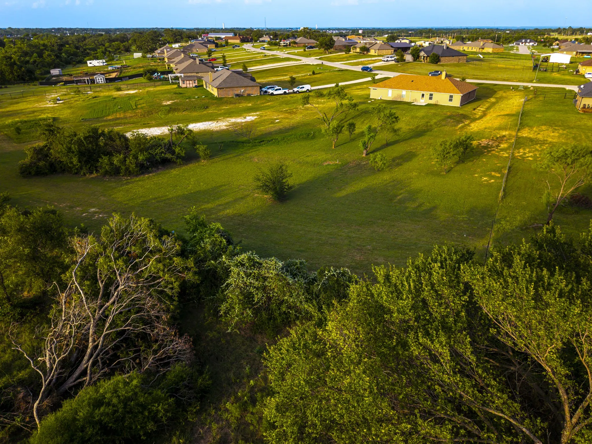 Expansive green landscape with scattered trees