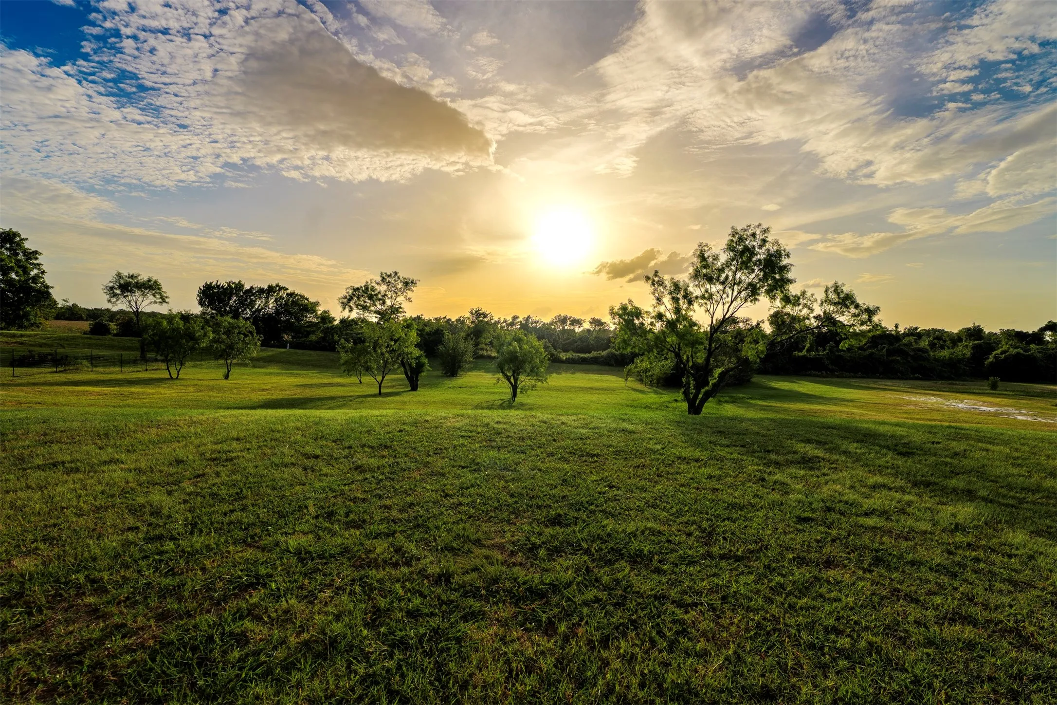 Expansive green landscape featuring scattered trees and natural foliage
