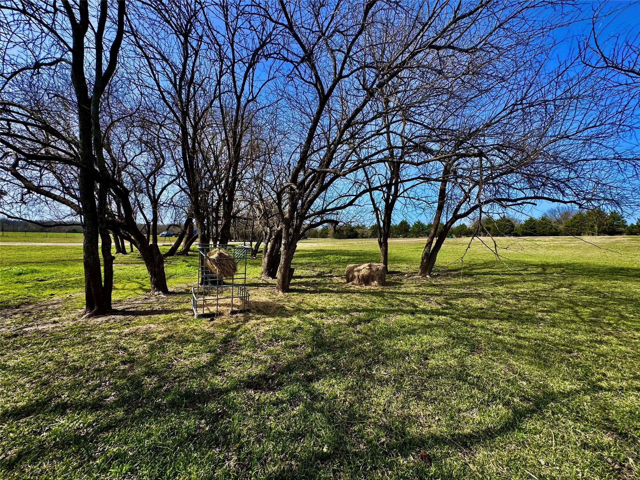 Unimproved Land For Sale in Hunt County , 4081 FM 2736 A, Campbell, Texas 75422, 0, 0, Garage spaces, 0 Sqft, built in 0, mls#21399773, Real Estate Agent in Campbell, Homes For Sale in Hunt county, Homes For Sale in Campbell, Realtor in Campbell Texas, Real Estate Brokerage Independent Realty Texas, Luminita Cordes Realtor