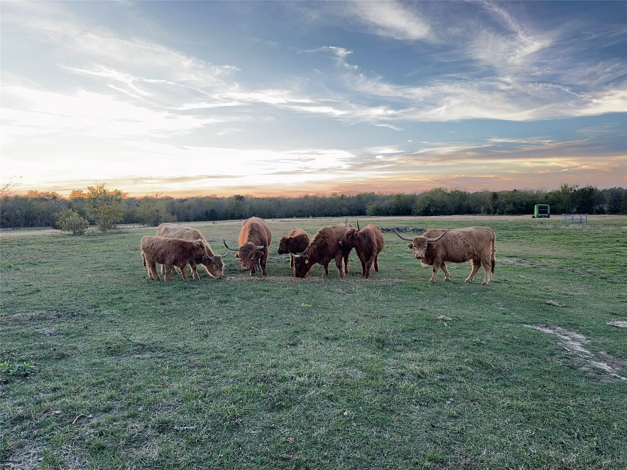 Unimproved Land For Sale in Hunt County , 4081 FM 2736 A, Campbell, Texas 75422, 0, 0, Garage spaces, 0 Sqft, built in 0, mls#21399773, Real Estate Agent in Campbell, Homes For Sale in Hunt county, Homes For Sale in Campbell, Realtor in Campbell Texas, Real Estate Brokerage Independent Realty Texas, Luminita Cordes Realtor