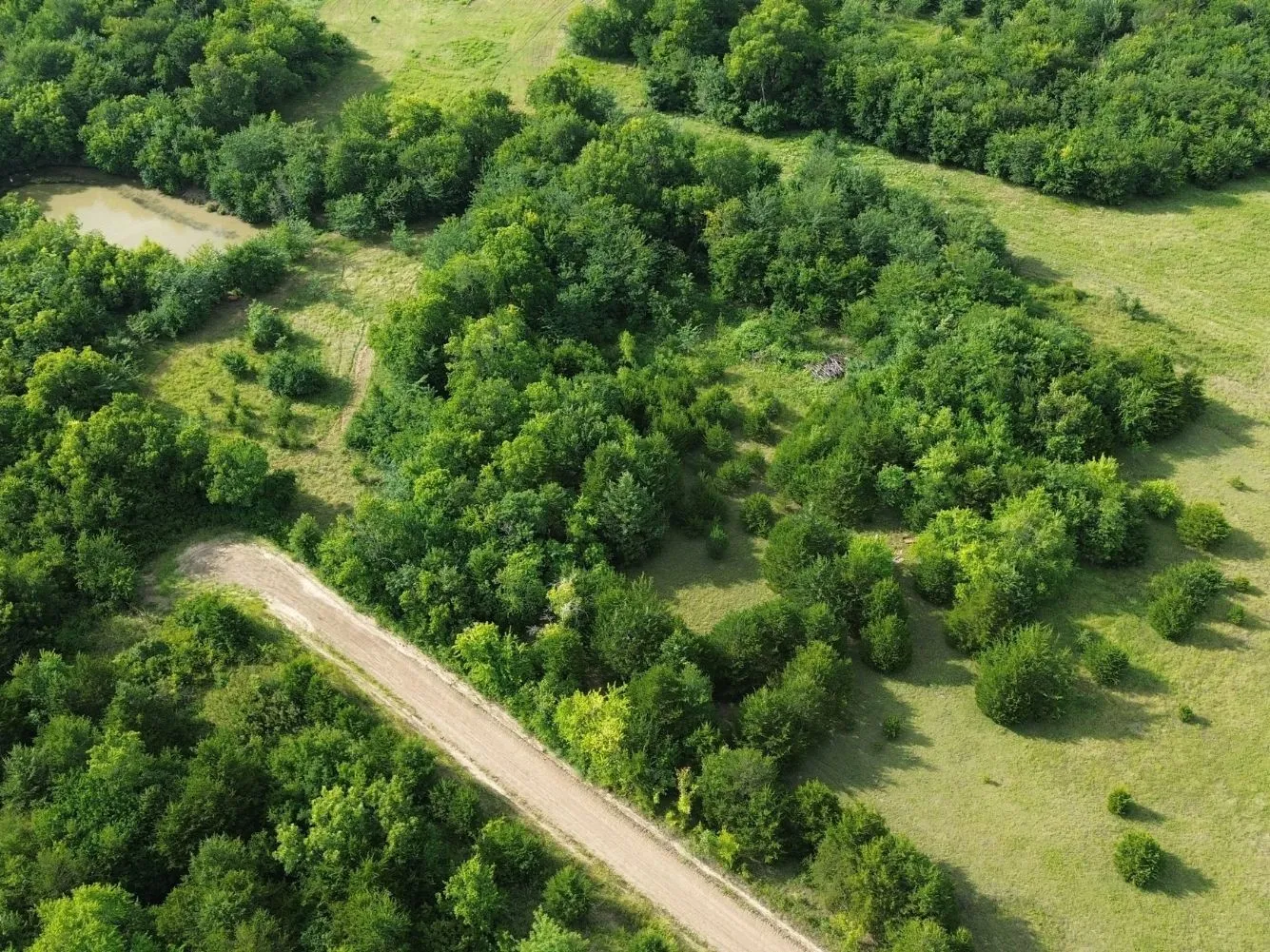 Aerial View of Back of Property with view of CR 4205