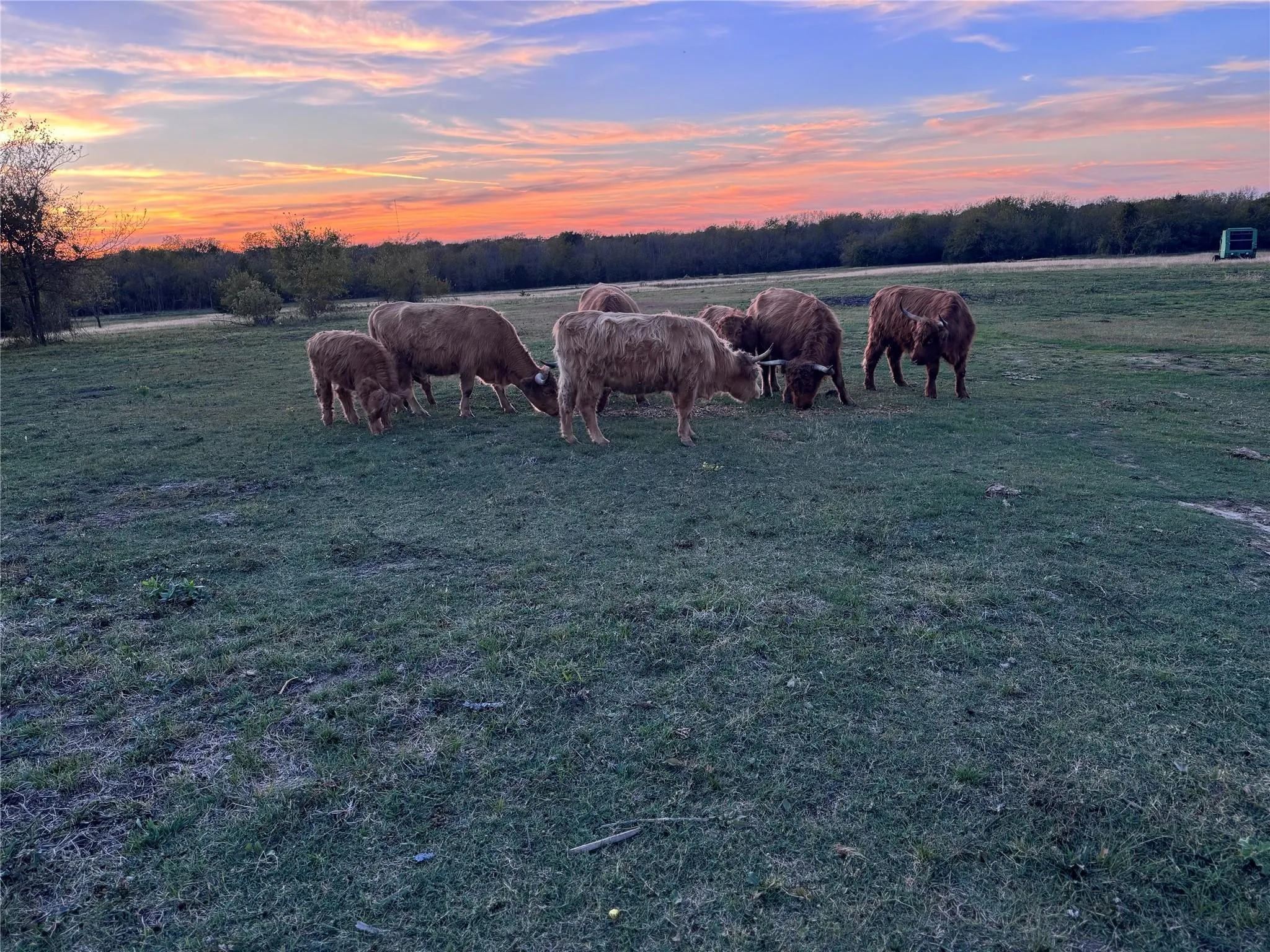 Unimproved Land For Sale in Hunt County , 4081 FM 2736 A, Campbell, Texas 75422, 0, 0, Garage spaces, 0 Sqft, built in 0, mls#21399773, Real Estate Agent in Campbell, Homes For Sale in Hunt county, Homes For Sale in Campbell, Realtor in Campbell Texas, Real Estate Brokerage Independent Realty Texas, Luminita Cordes Realtor