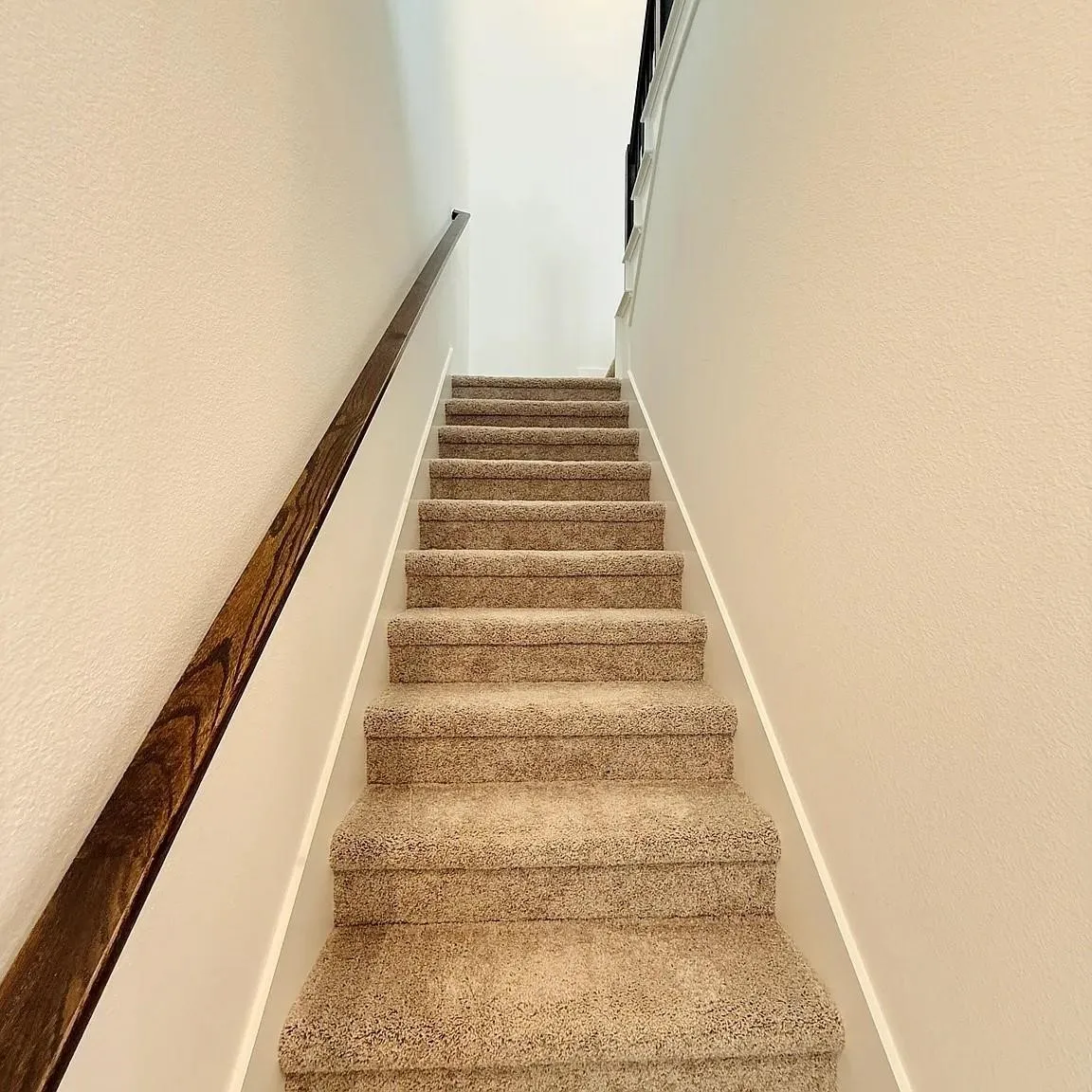 Carpeted staircase with a wood-finish handrail and contrasting white walls
