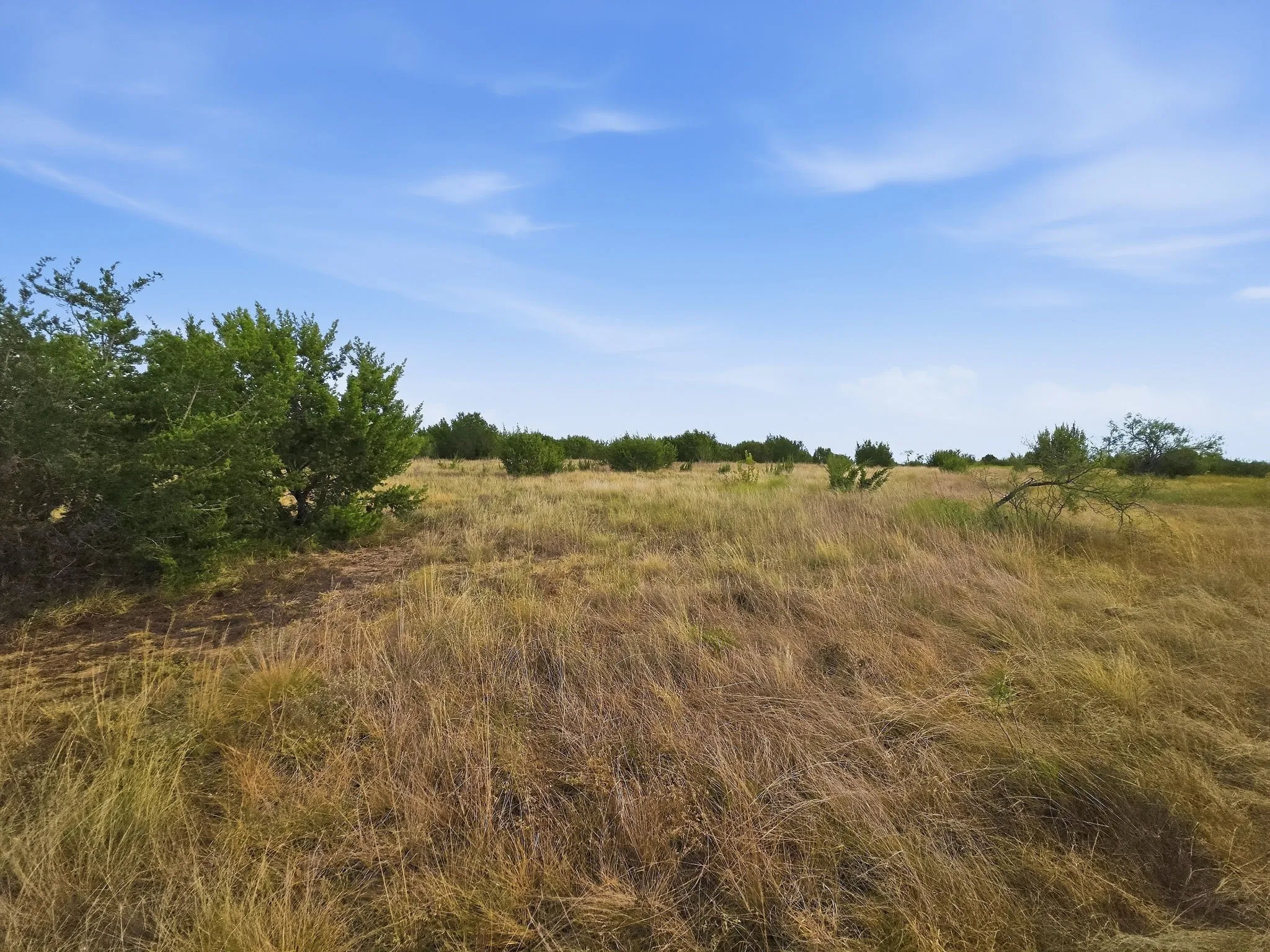 Unimproved Land For Sale in Hamilton County , Lot 1 County Road 607, Hamilton, Texas 76531, 0, 0, Garage spaces, 0 Sqft, built in 0, mls#21401271, Real Estate Agent in Hamilton, Homes For Sale in Hamilton county, Homes For Sale in Hamilton, Realtor in Hamilton Texas, Real Estate Brokerage Independent Realty Texas, Luminita Cordes Realtor