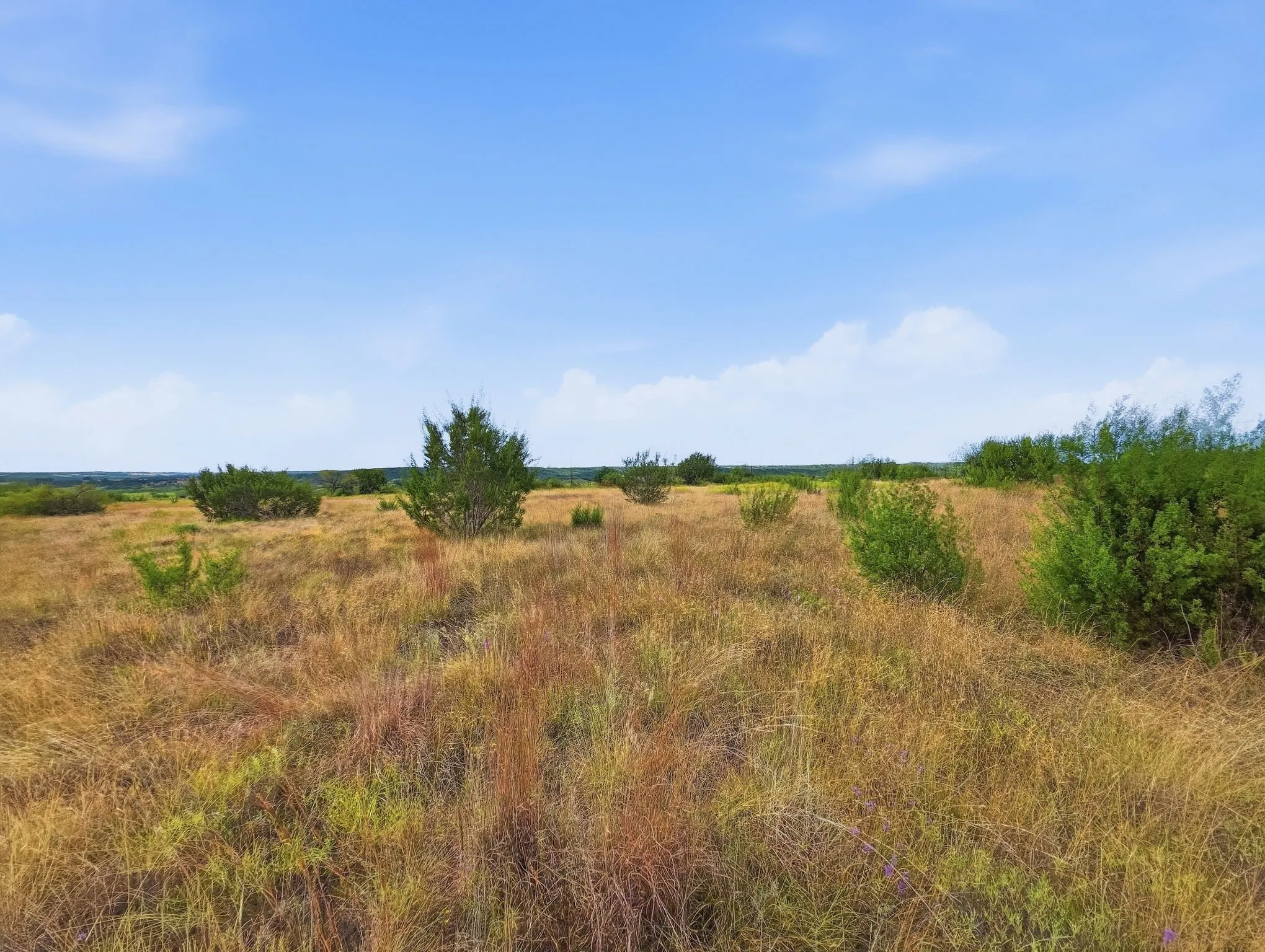 Unimproved Land For Sale in Hamilton County , Lot 1 County Road 607, Hamilton, Texas 76531, 0, 0, Garage spaces, 0 Sqft, built in 0, mls#21401271, Real Estate Agent in Hamilton, Homes For Sale in Hamilton county, Homes For Sale in Hamilton, Realtor in Hamilton Texas, Real Estate Brokerage Independent Realty Texas, Luminita Cordes Realtor