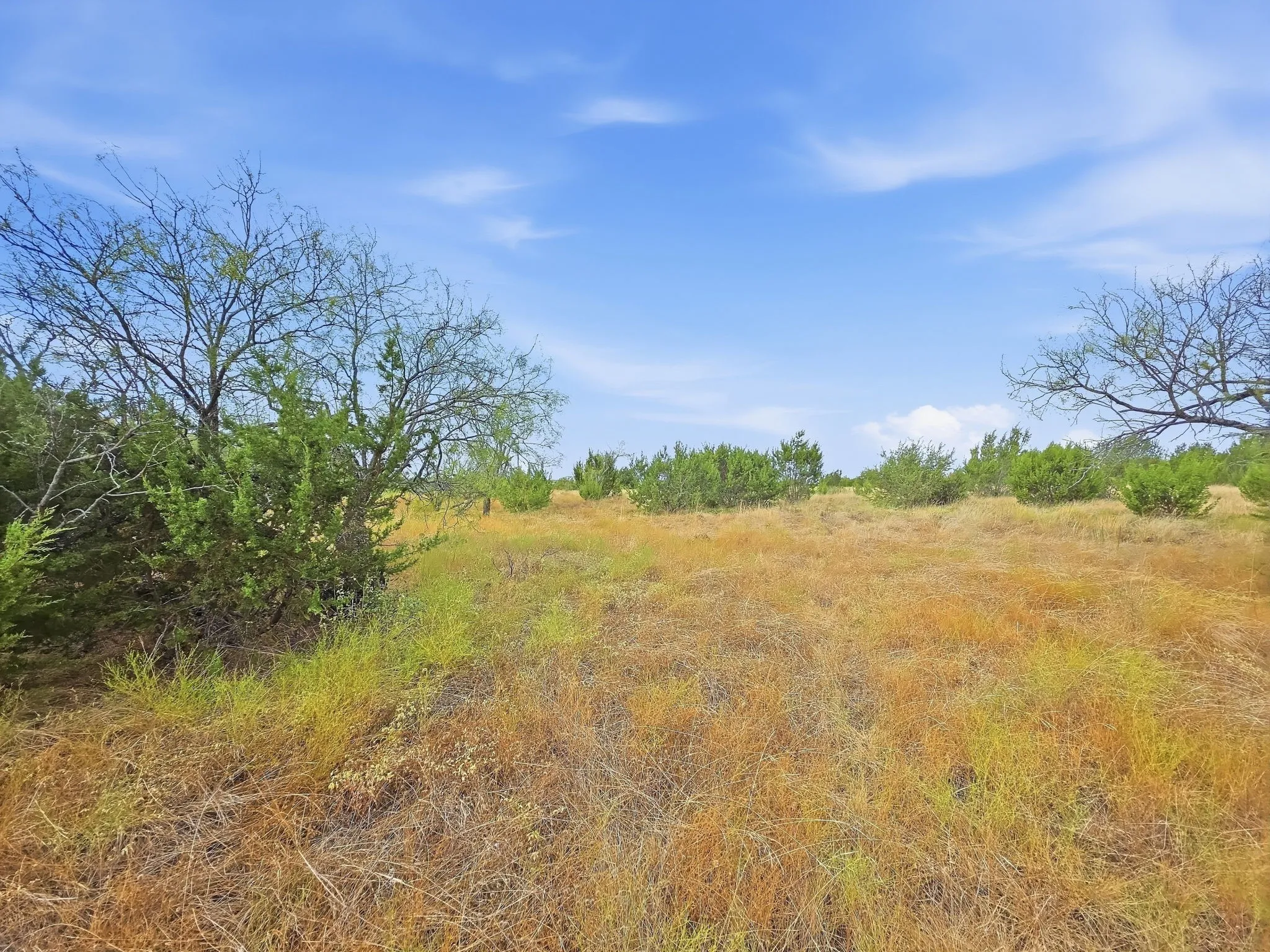 Unimproved Land For Sale in Hamilton County , Lot 1 County Road 607, Hamilton, Texas 76531, 0, 0, Garage spaces, 0 Sqft, built in 0, mls#21401271, Real Estate Agent in Hamilton, Homes For Sale in Hamilton county, Homes For Sale in Hamilton, Realtor in Hamilton Texas, Real Estate Brokerage Independent Realty Texas, Luminita Cordes Realtor