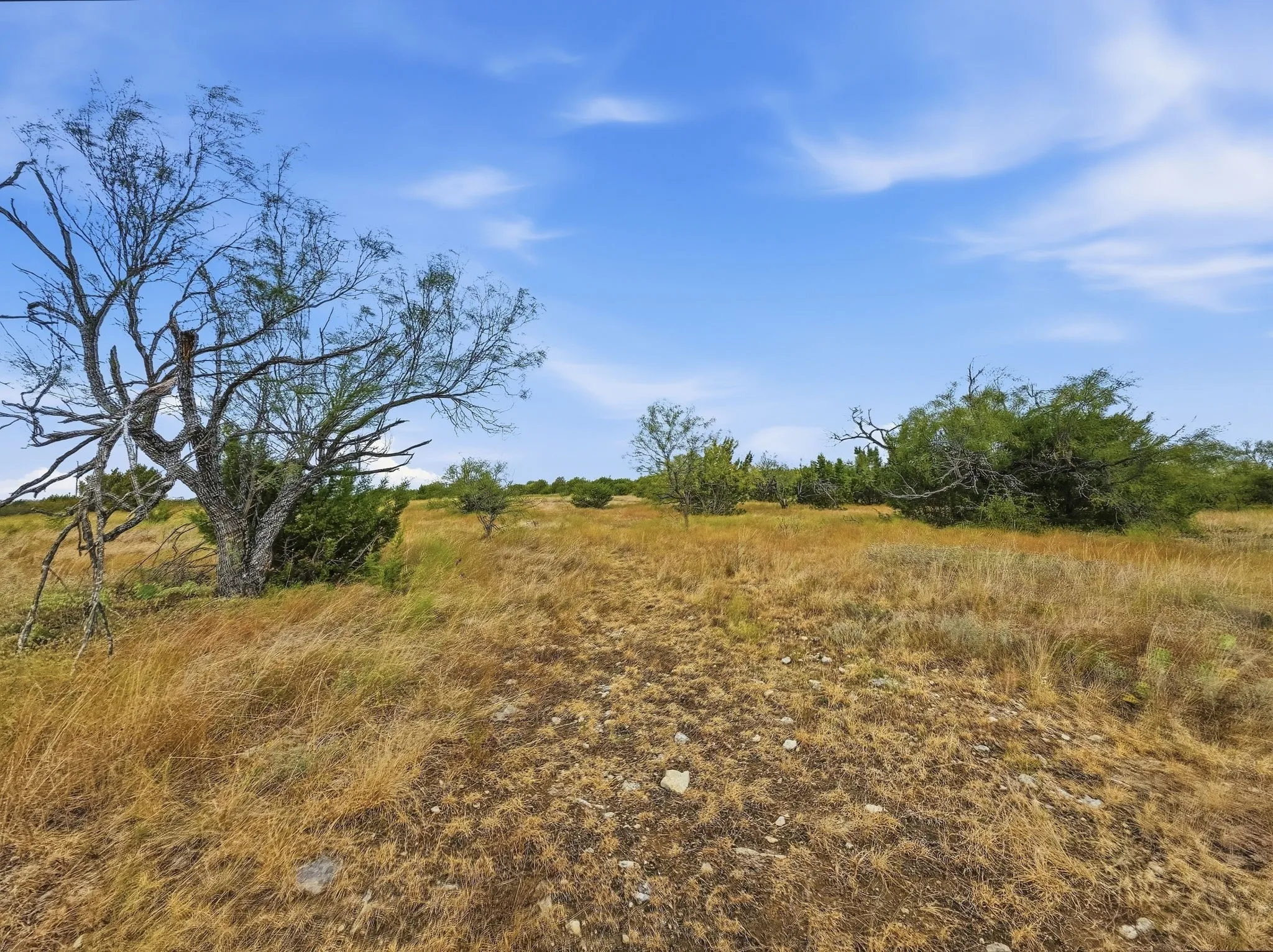 Unimproved Land For Sale in Hamilton County , Lot 1 County Road 607, Hamilton, Texas 76531, 0, 0, Garage spaces, 0 Sqft, built in 0, mls#21401271, Real Estate Agent in Hamilton, Homes For Sale in Hamilton county, Homes For Sale in Hamilton, Realtor in Hamilton Texas, Real Estate Brokerage Independent Realty Texas, Luminita Cordes Realtor