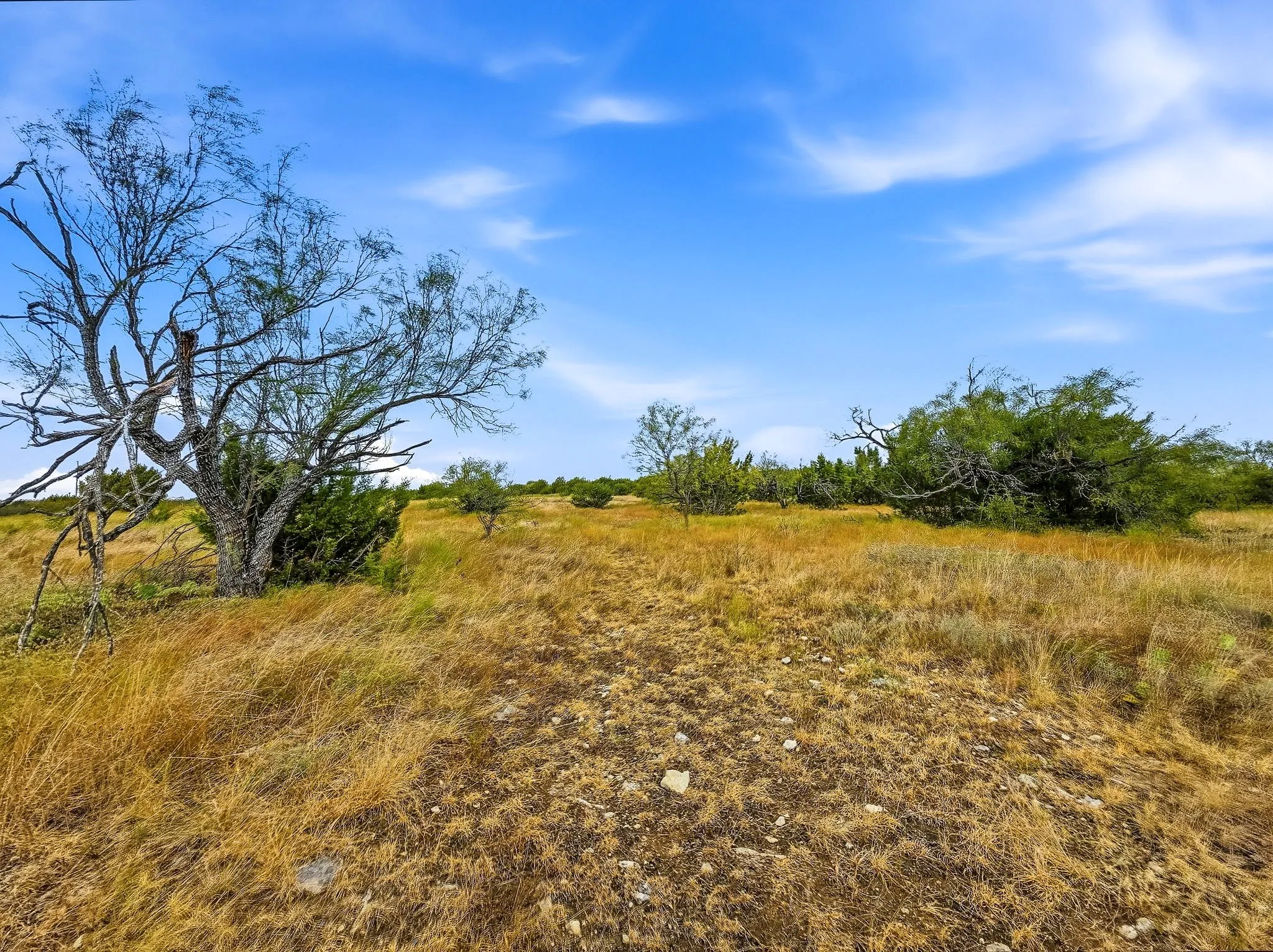 Unimproved Land For Sale in Hamilton County , Lot 1 County Road 607, Hamilton, Texas 76531, 0, 0, Garage spaces, 0 Sqft, built in 0, mls#21401271, Real Estate Agent in Hamilton, Homes For Sale in Hamilton county, Homes For Sale in Hamilton, Realtor in Hamilton Texas, Real Estate Brokerage Independent Realty Texas, Luminita Cordes Realtor