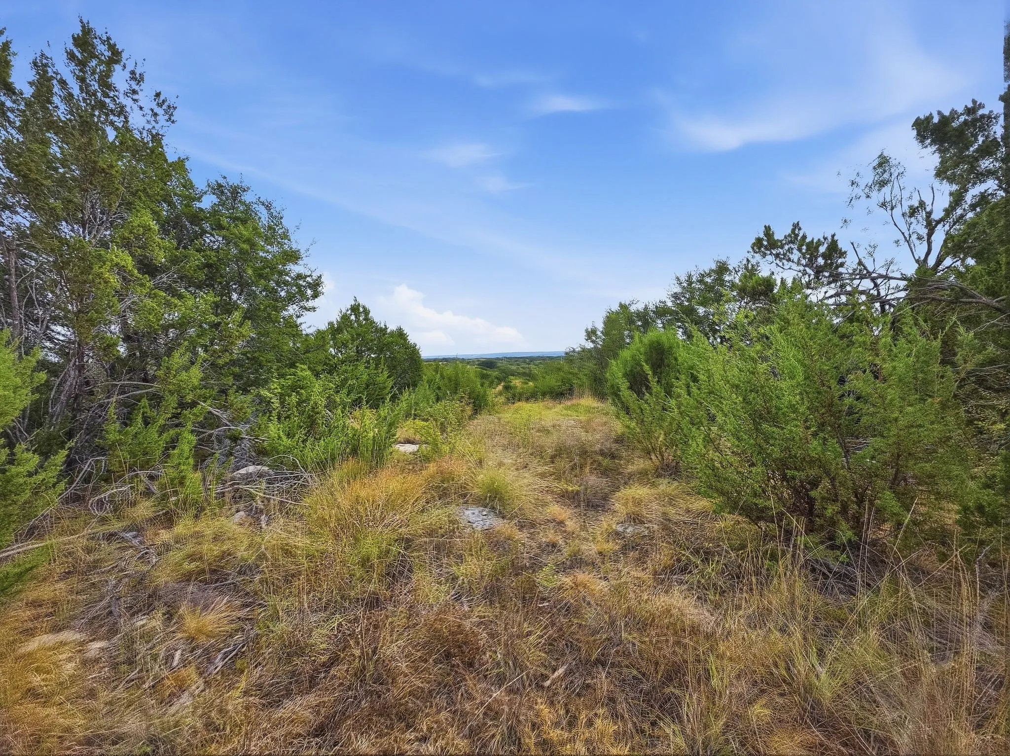 Unimproved Land For Sale in Hamilton County , Lot 1 County Road 607, Hamilton, Texas 76531, 0, 0, Garage spaces, 0 Sqft, built in 0, mls#21401271, Real Estate Agent in Hamilton, Homes For Sale in Hamilton county, Homes For Sale in Hamilton, Realtor in Hamilton Texas, Real Estate Brokerage Independent Realty Texas, Luminita Cordes Realtor