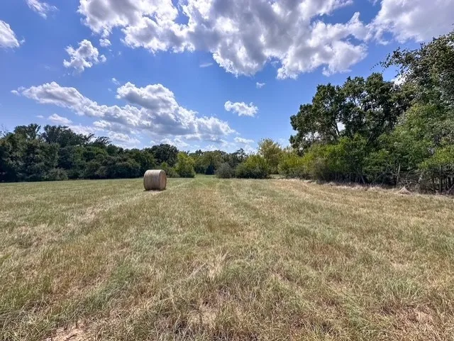 Unimproved Land For Sale in Anderson County , 0 An County Road 437, Frankston, Texas 75763, 0, 0, Garage spaces, 0 Sqft, built in 0, mls#21401151, Real Estate Agent in Frankston, Homes For Sale in Anderson county, Homes For Sale in Frankston, Realtor in Frankston Texas, Real Estate Brokerage Independent Realty Texas, Luminita Cordes Realtor