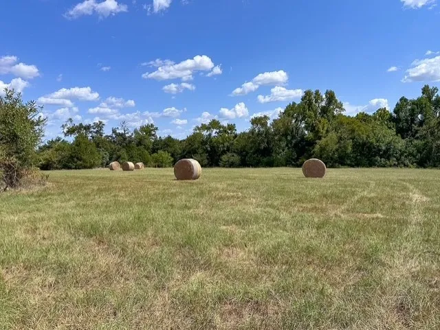 Unimproved Land For Sale in Anderson County , 0 An County Road 437, Frankston, Texas 75763, 0, 0, Garage spaces, 0 Sqft, built in 0, mls#21401151, Real Estate Agent in Frankston, Homes For Sale in Anderson county, Homes For Sale in Frankston, Realtor in Frankston Texas, Real Estate Brokerage Independent Realty Texas, Luminita Cordes Realtor
