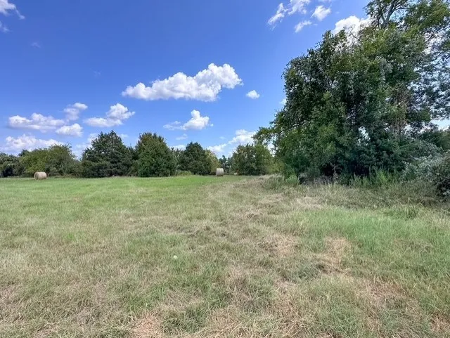 Unimproved Land For Sale in Anderson County , 0 An County Road 437, Frankston, Texas 75763, 0, 0, Garage spaces, 0 Sqft, built in 0, mls#21401151, Real Estate Agent in Frankston, Homes For Sale in Anderson county, Homes For Sale in Frankston, Realtor in Frankston Texas, Real Estate Brokerage Independent Realty Texas, Luminita Cordes Realtor