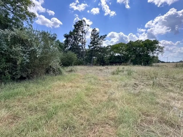 Unimproved Land For Sale in Anderson County , 0 An County Road 437, Frankston, Texas 75763, 0, 0, Garage spaces, 0 Sqft, built in 0, mls#21401151, Real Estate Agent in Frankston, Homes For Sale in Anderson county, Homes For Sale in Frankston, Realtor in Frankston Texas, Real Estate Brokerage Independent Realty Texas, Luminita Cordes Realtor