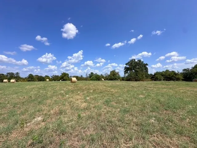 Unimproved Land For Sale in Anderson County , 0 An County Road 437, Frankston, Texas 75763, 0, 0, Garage spaces, 0 Sqft, built in 0, mls#21401151, Real Estate Agent in Frankston, Homes For Sale in Anderson county, Homes For Sale in Frankston, Realtor in Frankston Texas, Real Estate Brokerage Independent Realty Texas, Luminita Cordes Realtor