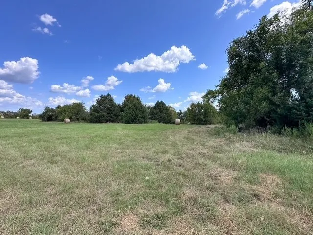 Unimproved Land For Sale in Anderson County , 0 An County Road 437, Frankston, Texas 75763, 0, 0, Garage spaces, 0 Sqft, built in 0, mls#21401151, Real Estate Agent in Frankston, Homes For Sale in Anderson county, Homes For Sale in Frankston, Realtor in Frankston Texas, Real Estate Brokerage Independent Realty Texas, Luminita Cordes Realtor