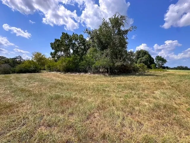 Unimproved Land For Sale in Anderson County , 0 An County Road 437, Frankston, Texas 75763, 0, 0, Garage spaces, 0 Sqft, built in 0, mls#21401151, Real Estate Agent in Frankston, Homes For Sale in Anderson county, Homes For Sale in Frankston, Realtor in Frankston Texas, Real Estate Brokerage Independent Realty Texas, Luminita Cordes Realtor