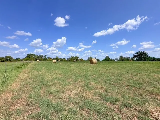 Unimproved Land For Sale in Anderson County , 0 An County Road 437, Frankston, Texas 75763, 0, 0, Garage spaces, 0 Sqft, built in 0, mls#21401151, Real Estate Agent in Frankston, Homes For Sale in Anderson county, Homes For Sale in Frankston, Realtor in Frankston Texas, Real Estate Brokerage Independent Realty Texas, Luminita Cordes Realtor
