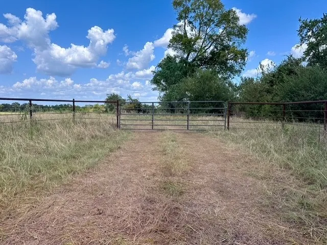 Unimproved Land For Sale in Anderson County , 0 An County Road 437, Frankston, Texas 75763, 0, 0, Garage spaces, 0 Sqft, built in 0, mls#21401151, Real Estate Agent in Frankston, Homes For Sale in Anderson county, Homes For Sale in Frankston, Realtor in Frankston Texas, Real Estate Brokerage Independent Realty Texas, Luminita Cordes Realtor