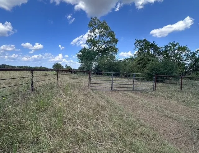 Unimproved Land For Sale in Anderson County , 0 An County Road 437, Frankston, Texas 75763, 0, 0, Garage spaces, 0 Sqft, built in 0, mls#21401151, Real Estate Agent in Frankston, Homes For Sale in Anderson county, Homes For Sale in Frankston, Realtor in Frankston Texas, Real Estate Brokerage Independent Realty Texas, Luminita Cordes Realtor