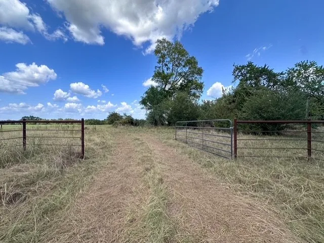 Unimproved Land For Sale in Anderson County , 0 An County Road 437, Frankston, Texas 75763, 0, 0, Garage spaces, 0 Sqft, built in 0, mls#21401151, Real Estate Agent in Frankston, Homes For Sale in Anderson county, Homes For Sale in Frankston, Realtor in Frankston Texas, Real Estate Brokerage Independent Realty Texas, Luminita Cordes Realtor