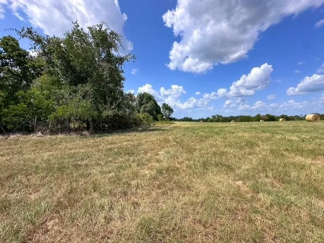 Unimproved Land For Sale in Anderson County , 0 An County Road 437, Frankston, Texas 75763, 0, 0, Garage spaces, 0 Sqft, built in 0, mls#21401151, Real Estate Agent in Frankston, Homes For Sale in Anderson county, Homes For Sale in Frankston, Realtor in Frankston Texas, Real Estate Brokerage Independent Realty Texas, Luminita Cordes Realtor