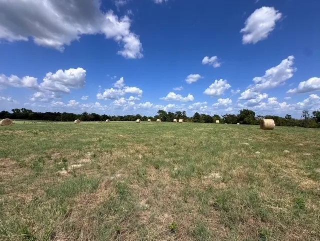 Unimproved Land For Sale in Anderson County , 0 An County Road 437, Frankston, Texas 75763, 0, 0, Garage spaces, 0 Sqft, built in 0, mls#21401151, Real Estate Agent in Frankston, Homes For Sale in Anderson county, Homes For Sale in Frankston, Realtor in Frankston Texas, Real Estate Brokerage Independent Realty Texas, Luminita Cordes Realtor