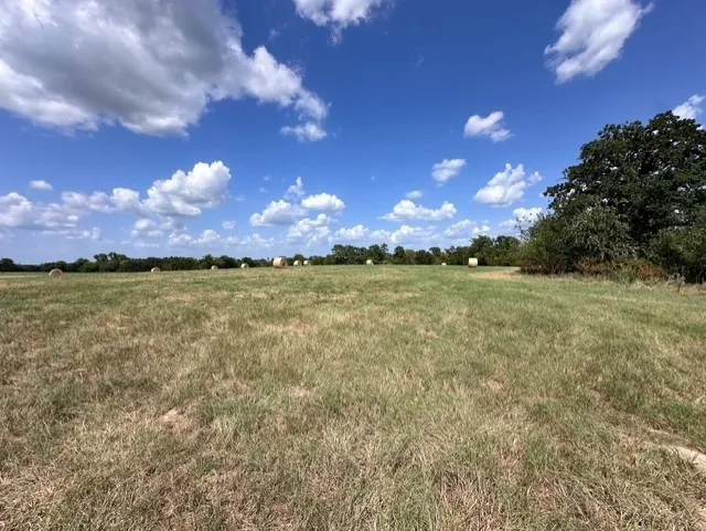 Unimproved Land For Sale in Anderson County , 0 An County Road 437, Frankston, Texas 75763, 0, 0, Garage spaces, 0 Sqft, built in 0, mls#21401151, Real Estate Agent in Frankston, Homes For Sale in Anderson county, Homes For Sale in Frankston, Realtor in Frankston Texas, Real Estate Brokerage Independent Realty Texas, Luminita Cordes Realtor