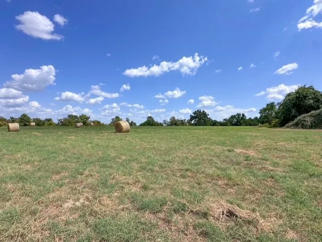Unimproved Land For Sale in Anderson County , 0 An County Road 437, Frankston, Texas 75763, 0, 0, Garage spaces, 0 Sqft, built in 0, mls#21401151, Real Estate Agent in Frankston, Homes For Sale in Anderson county, Homes For Sale in Frankston, Realtor in Frankston Texas, Real Estate Brokerage Independent Realty Texas, Luminita Cordes Realtor