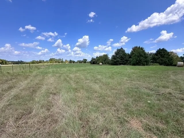 Unimproved Land For Sale in Anderson County , 0 An County Road 437, Frankston, Texas 75763, 0, 0, Garage spaces, 0 Sqft, built in 0, mls#21401151, Real Estate Agent in Frankston, Homes For Sale in Anderson county, Homes For Sale in Frankston, Realtor in Frankston Texas, Real Estate Brokerage Independent Realty Texas, Luminita Cordes Realtor