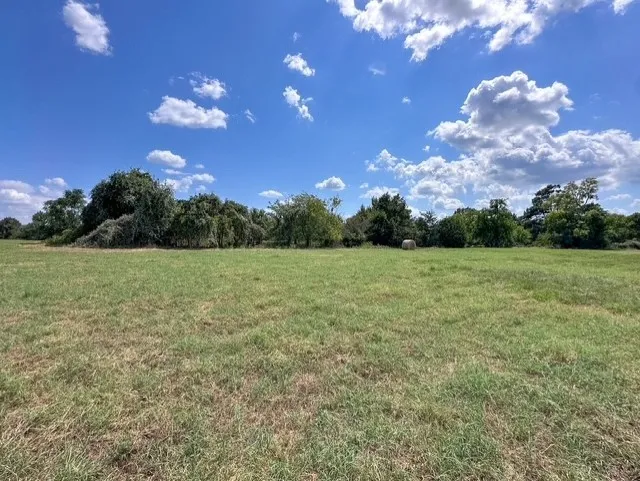 Unimproved Land For Sale in Anderson County , 0 An County Road 437, Frankston, Texas 75763, 0, 0, Garage spaces, 0 Sqft, built in 0, mls#21401151, Real Estate Agent in Frankston, Homes For Sale in Anderson county, Homes For Sale in Frankston, Realtor in Frankston Texas, Real Estate Brokerage Independent Realty Texas, Luminita Cordes Realtor