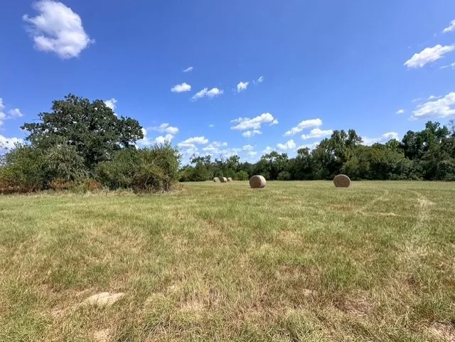 Unimproved Land For Sale in Anderson County , 0 An County Road 437, Frankston, Texas 75763, 0, 0, Garage spaces, 0 Sqft, built in 0, mls#21401151, Real Estate Agent in Frankston, Homes For Sale in Anderson county, Homes For Sale in Frankston, Realtor in Frankston Texas, Real Estate Brokerage Independent Realty Texas, Luminita Cordes Realtor