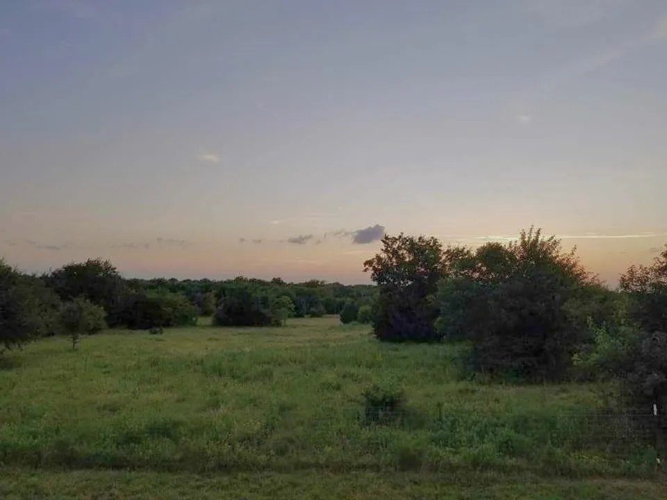 Unimproved Land For Sale in Hunt County , 4081 FM 2736 C, Campbell, Texas 75422, 0, 0, Garage spaces, 0 Sqft, built in 0, mls#21399810, Real Estate Agent in Campbell, Homes For Sale in Hunt county, Homes For Sale in Campbell, Realtor in Campbell Texas, Real Estate Brokerage Independent Realty Texas, Luminita Cordes Realtor