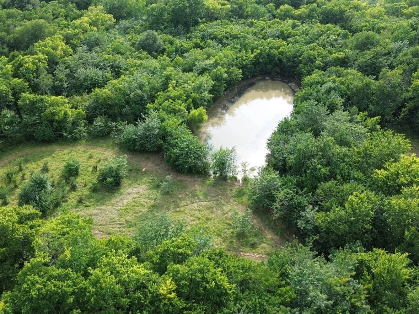 Unimproved Land For Sale in Hunt County , 4081 FM 2736 C, Campbell, Texas 75422, 0, 0, Garage spaces, 0 Sqft, built in 0, mls#21399810, Real Estate Agent in Campbell, Homes For Sale in Hunt county, Homes For Sale in Campbell, Realtor in Campbell Texas, Real Estate Brokerage Independent Realty Texas, Luminita Cordes Realtor